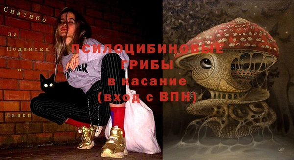 МДМА Киреевск