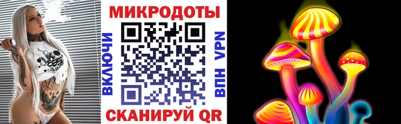 Купить где  Кинель  Псилоцибиновые грибы Psilocybine cubensis 